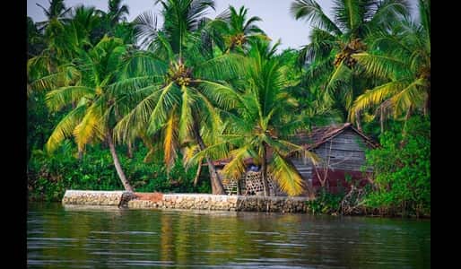 Kerala Village: Culture, Nature, Food & How to Spend a Day
