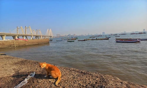 Worli Village
